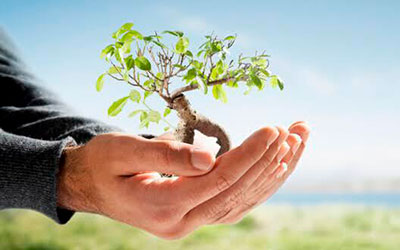 Consultoria-e-assessoria-ambiental-ecopel